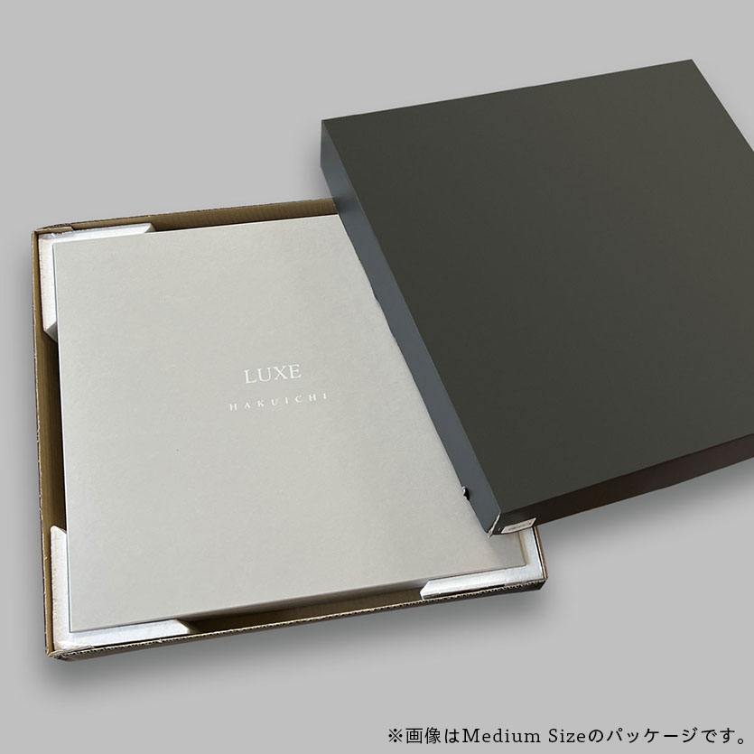 LUXE SILVER　(Silver/Large)